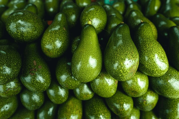 Basket of Fuerte avocados